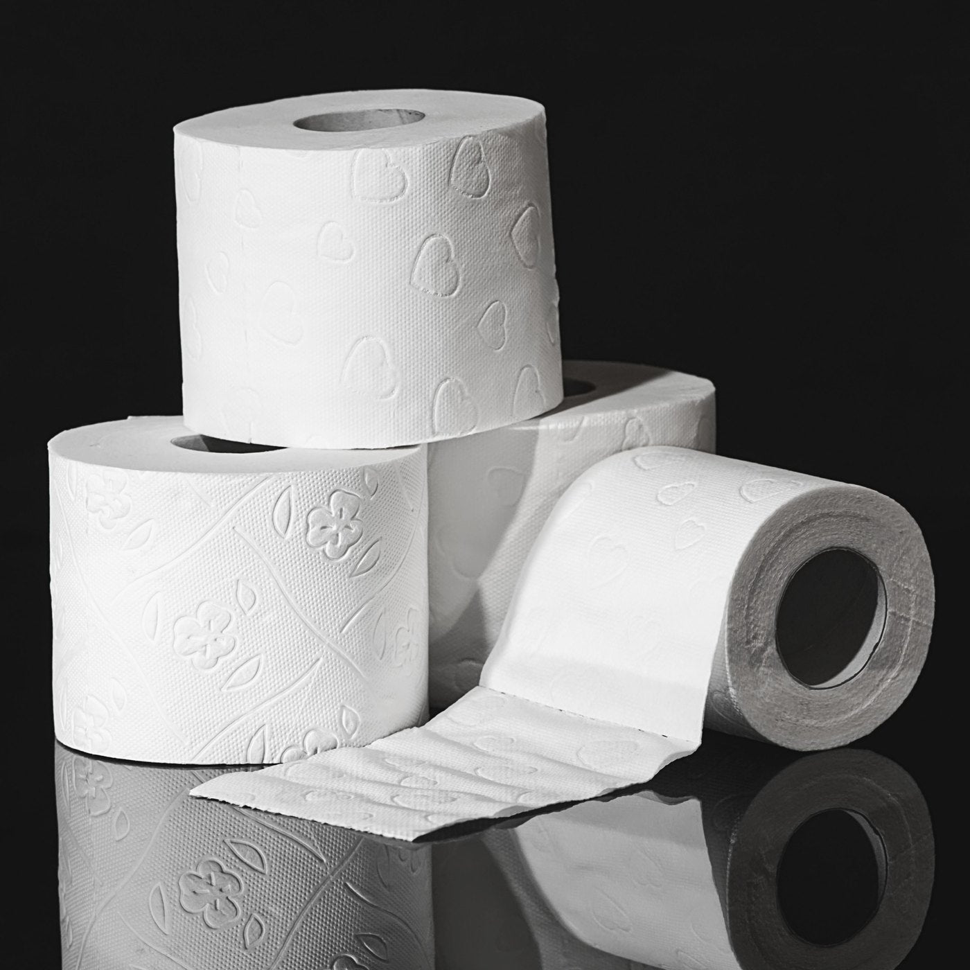 Toilet Paper — 2-Ply Case